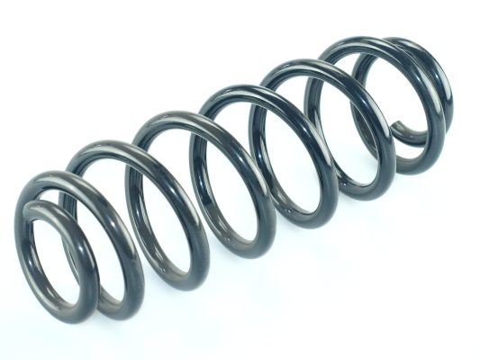 CS Germany 14.875.250 Fahrwerksfeder Hinterachse für SKODA