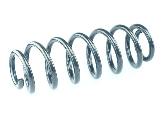 CS Germany 14.875.255 Fahrwerksfeder Hinterachse für SKODA VW