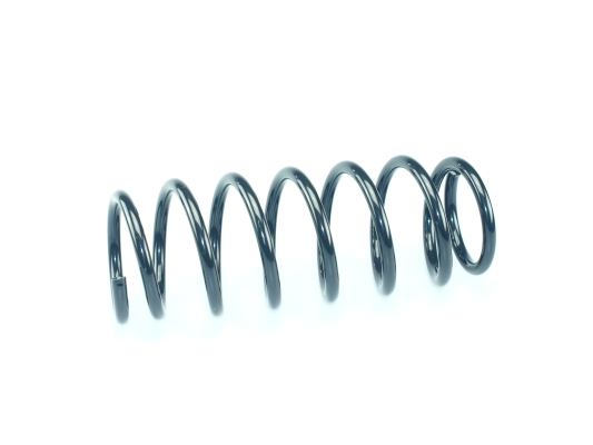 CS Germany 14.875.315 Fahrwerksfeder Hinterachse für SUBARU