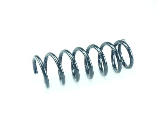 CS Germany 14.875.334 Fahrwerksfeder Hinterachse für SUBARU