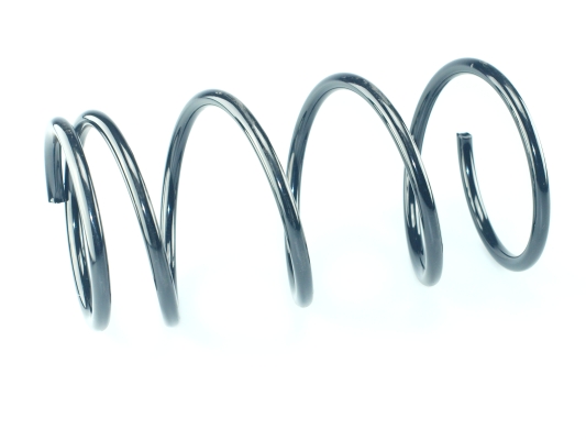 CS Germany 14.875.415 Fahrwerksfeder Hinterachse für SUZUKI