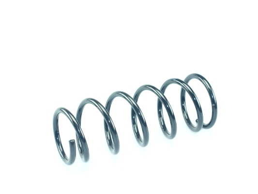 CS Germany 14.875.431 Fahrwerksfeder Hinterachse für SUZUKI