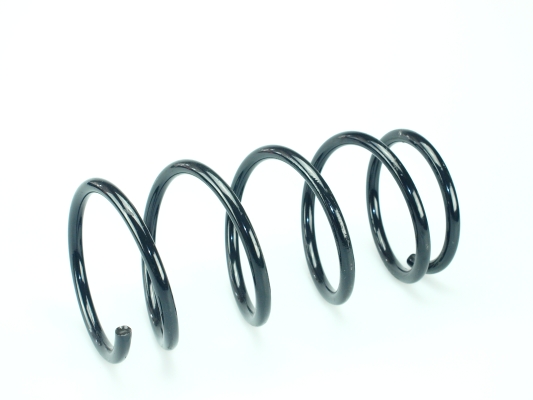 CS Germany 14.875.434 Fahrwerksfeder Hinterachse für SUZUKI