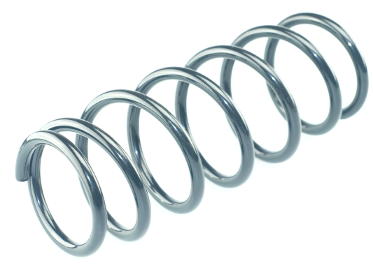 CS Germany 14.875.439 Fahrwerksfeder Hinterachse für SUZUKI