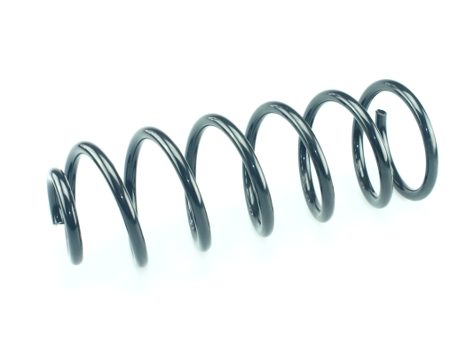 CS Germany 14.875.812 Fahrwerksfeder Hinterachse für CITROËN