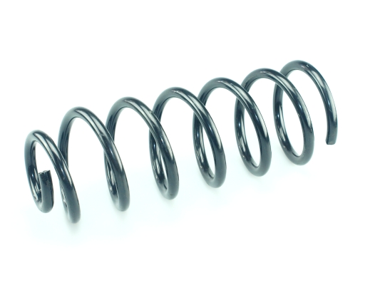 CS Germany 14.875.815 Fahrwerksfeder Hinterachse für CITROËN