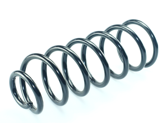 CS Germany 14.875.816 Fahrwerksfeder Hinterachse für CITROËN