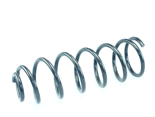 CS Germany 14.875.818 Fahrwerksfeder Hinterachse für CITROËN