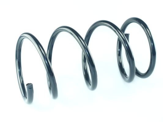 CS Germany 14.875.828 Fahrwerksfeder Vorderachse für CITROËN