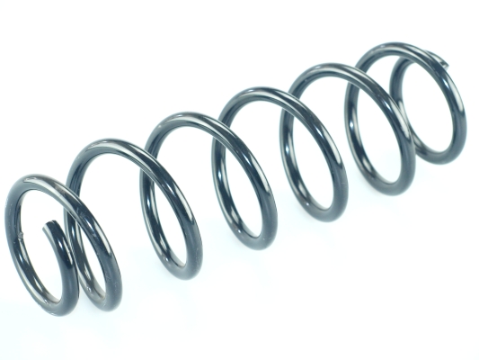 CS Germany 14.875.859 Fahrwerksfeder Hinterachse für CITROËN