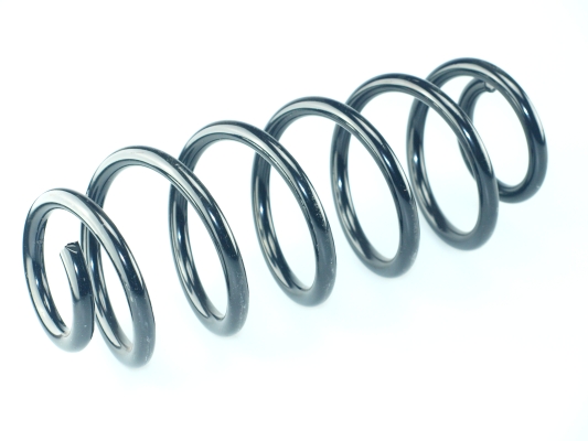 CS Germany 14.875.870 Fahrwerksfeder Hinterachse für CITROËN