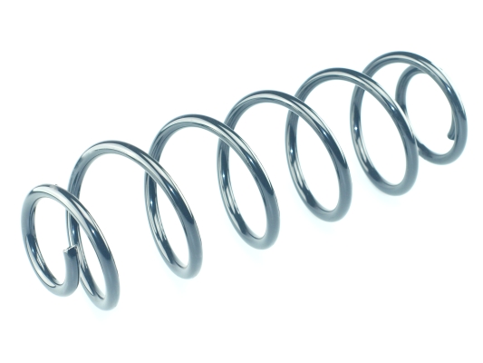 CS Germany 14.875.876 Fahrwerksfeder Hinterachse für CITROËN