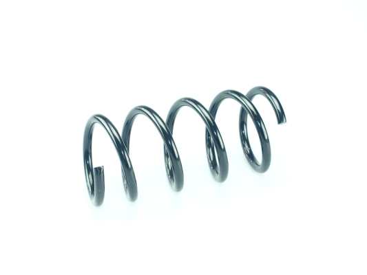 CS Germany 14.876.019 Fahrwerksfeder Hinterachse für FIAT