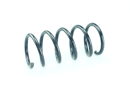 CS Germany 14.876.036 Fahrwerksfeder Hinterachse für FIAT