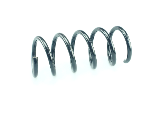 CS Germany 14.876.037 Fahrwerksfeder Hinterachse für FIAT