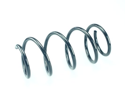 CS Germany 14.877.008 Fahrwerksfeder Vorderachse für RENAULT