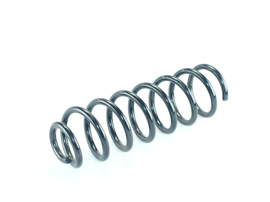 CS Germany 14.877.012 Fahrwerksfeder Hinterachse für RENAULT