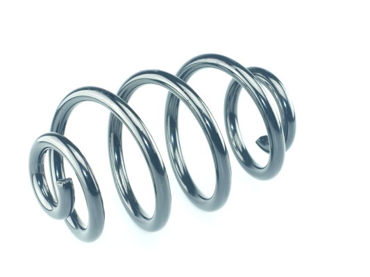 CS Germany 14.877.016 Fahrwerksfeder Hinterachse für RENAULT