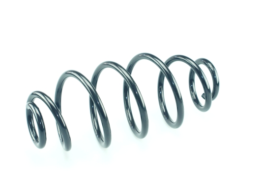 CS Germany 14.877.017 Fahrwerksfeder Hinterachse für RENAULT