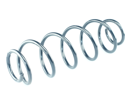 CS Germany 14.877.019 Fahrwerksfeder Hinterachse für RENAULT