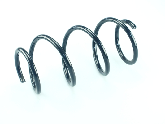 CS Germany 14.877.022 Fahrwerksfeder Vorderachse für RENAULT