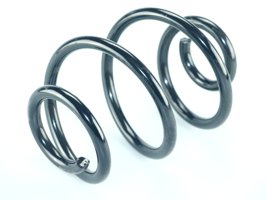 CS Germany 14.877.034 Fahrwerksfeder Hinterachse für RENAULT