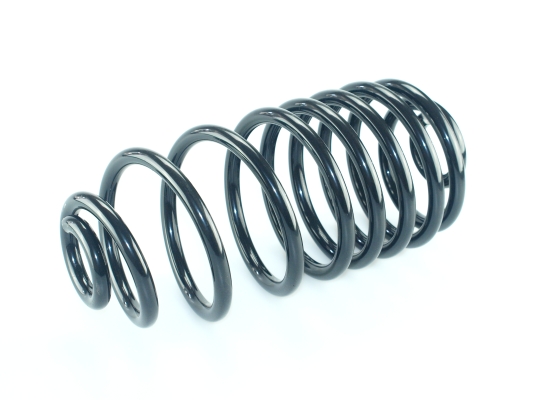 CS Germany 14.877.037 Fahrwerksfeder Hinterachse für RENAULT