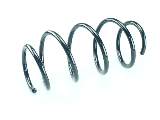 CS Germany 14.877.043 Fahrwerksfeder Vorderachse für RENAULT