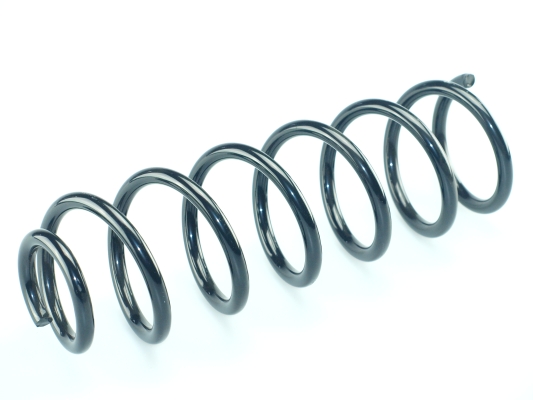 CS Germany 14.877.050 Fahrwerksfeder Hinterachse für RENAULT