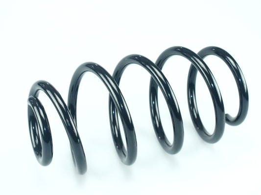 CS Germany 14.877.054 Fahrwerksfeder Hinterachse für DACIA