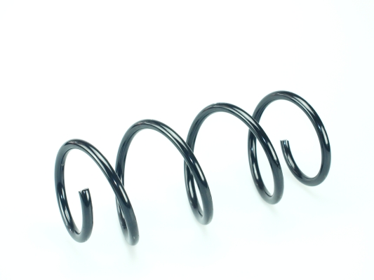 CS Germany 14.877.412 Fahrwerksfeder Hinterachse für DACIA