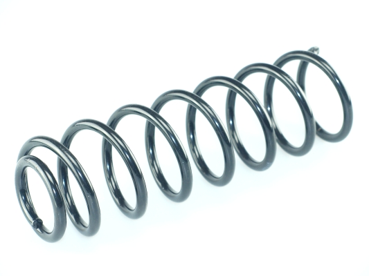 CS Germany 14.950.119 Fahrwerksfeder Hinterachse für VW