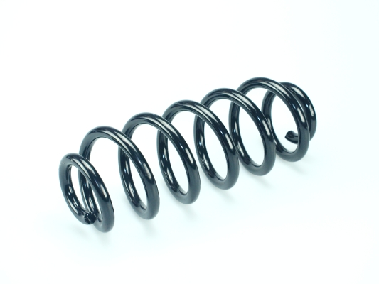 CS Germany 14.950.134 Fahrwerksfeder Hinterachse für SEAT VW