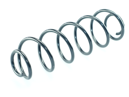 CS Germany 14.950.158 Fahrwerksfeder Hinterachse für VW