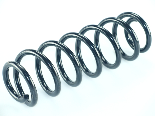 CS Germany 14.950.173 Fahrwerksfeder Hinterachse für VW