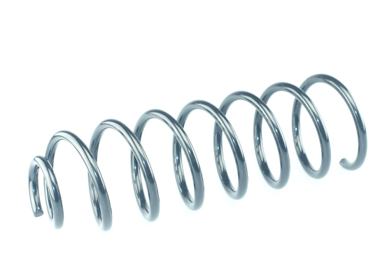 CS Germany 14.950.210 Fahrwerksfeder Hinterachse für VW