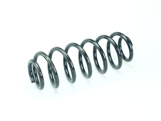 CS Germany 14.950.217 Fahrwerksfeder Hinterachse für AUDI KIA