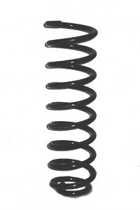 CS Germany 14.950.230 Fahrwerksfeder Hinterachse für VW