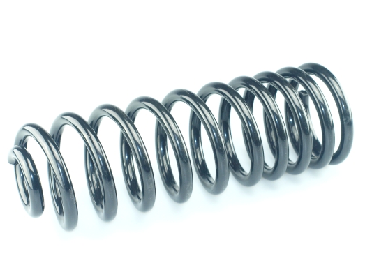 CS Germany 14.950.290 Fahrwerksfeder Hinterachse für VW