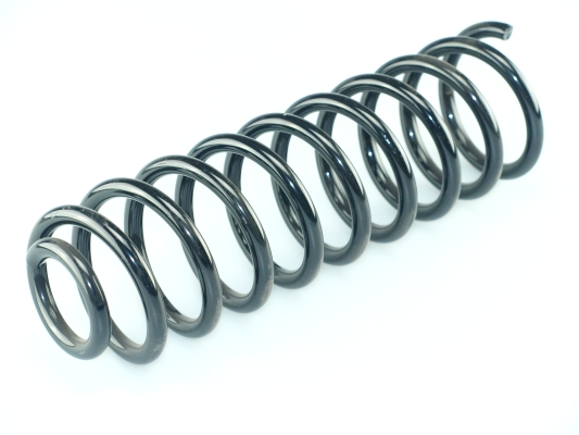 CS Germany 14.950.298 Fahrwerksfeder Hinterachse für VW