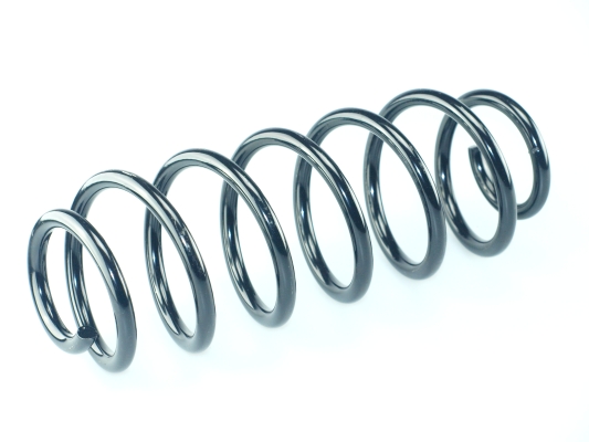 CS Germany 14.950.330 Fahrwerksfeder Hinterachse für SEAT