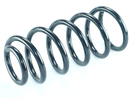 CS Germany 14.950.658 Fahrwerksfeder Hinterachse für AUDI VW