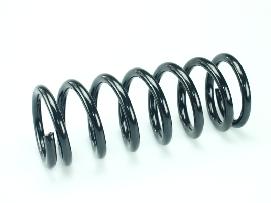 CS Germany 14.950.668 Fahrwerksfeder Vorderachse für VW