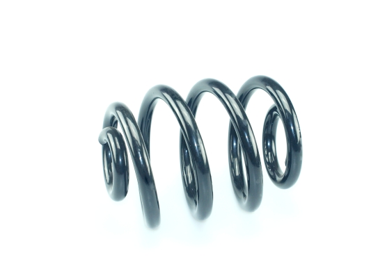 CS Germany 14.950.670 Fahrwerksfeder Hinterachse für VW