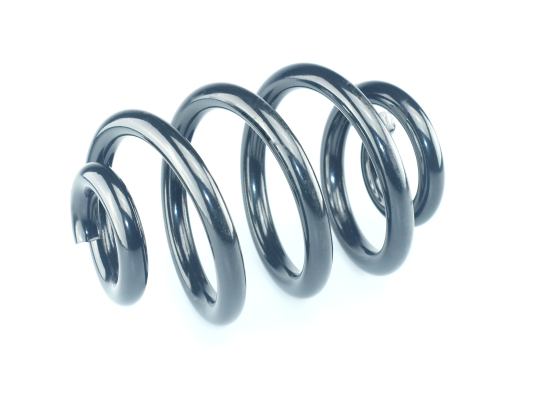 CS Germany 14.950.673 Fahrwerksfeder Hinterachse für VW