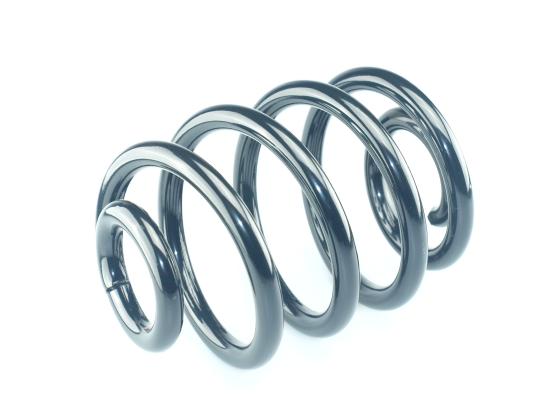 CS Germany 14.950.675 Fahrwerksfeder Hinterachse für SEAT VW