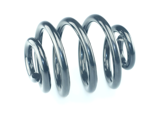 CS Germany 14.950.676 Fahrwerksfeder Hinterachse für SEAT VW