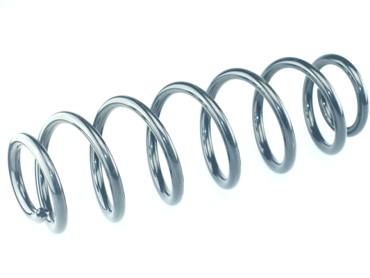 CS Germany 14.950.679 Fahrwerksfeder Hinterachse für SEAT VW