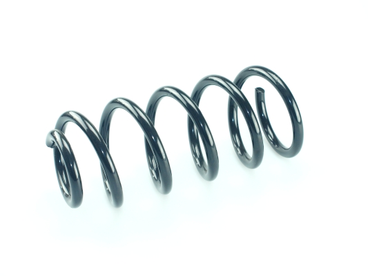 CS Germany 14.950.694 Fahrwerksfeder Hinterachse für VW