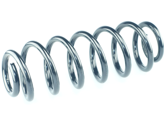 CS Germany 14.950.732 Fahrwerksfeder Hinterachse für VW